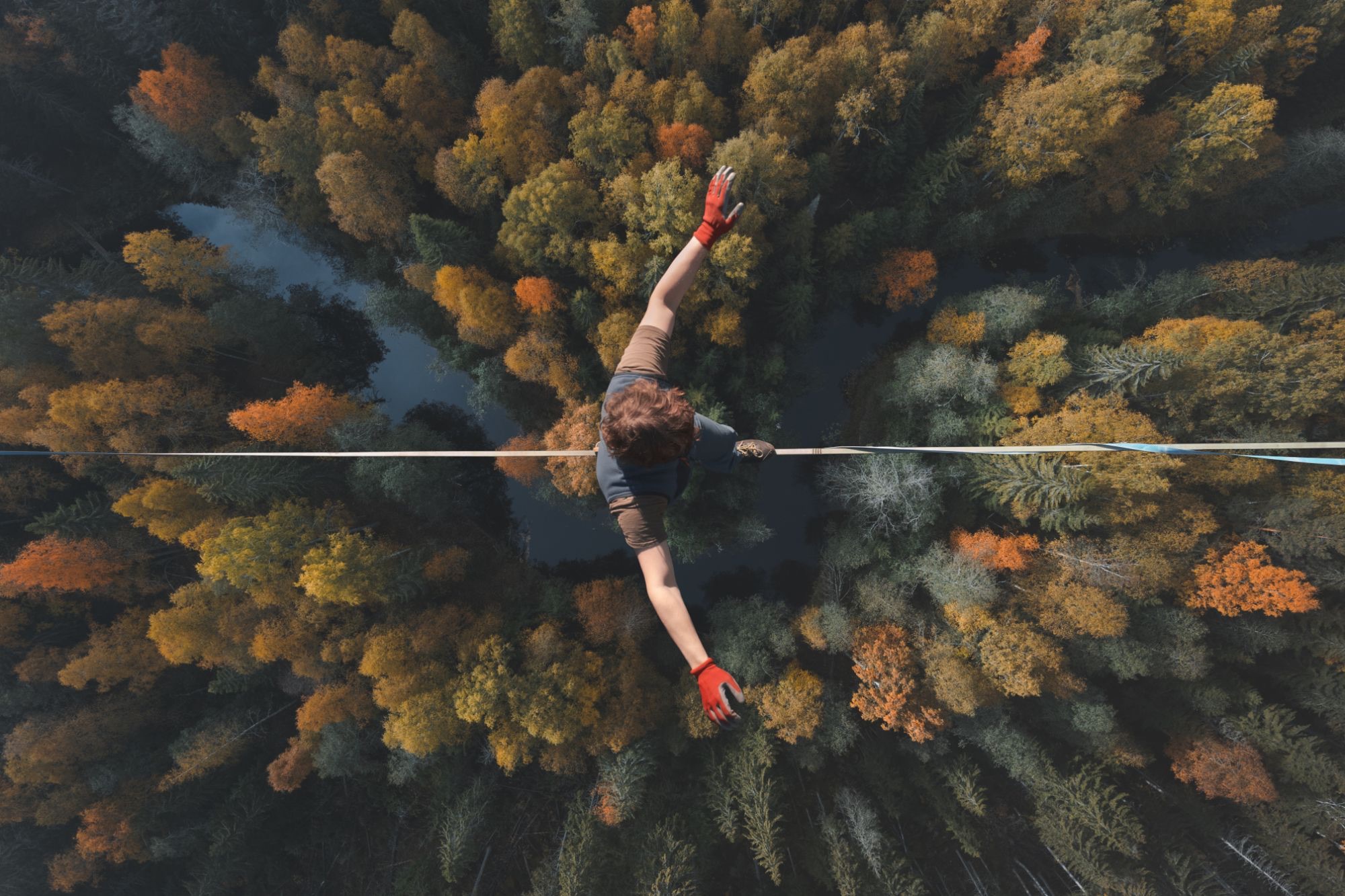 An aerial tightrope walker over a forest