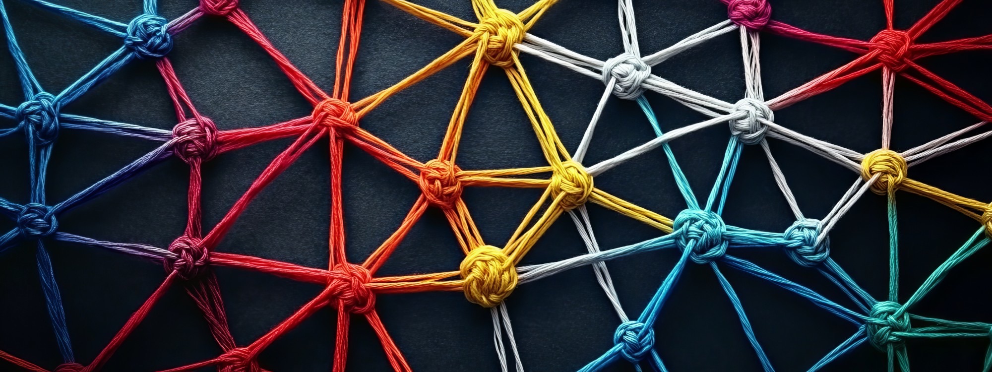 A knotted multicolor thread network